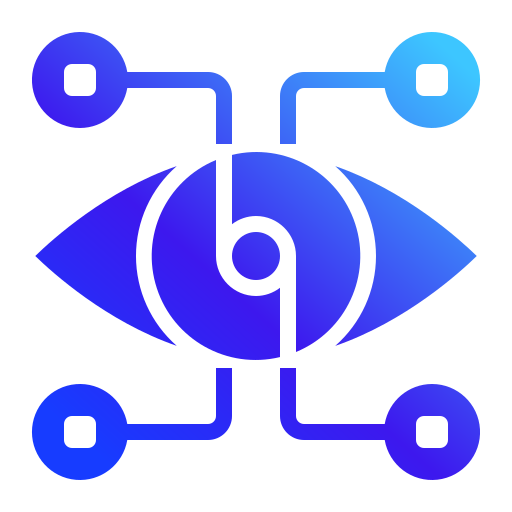 vision